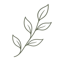 Branch icon for Christian counseling