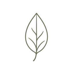 Leaf icon for individual Christian counseling